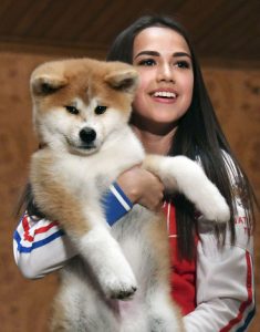 今 海外で人気の日本犬 Syshan株式会社